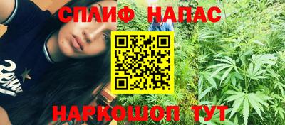 ГАЛЛЮЦИНОГЕННЫЕ ГРИБЫ Кандалакша