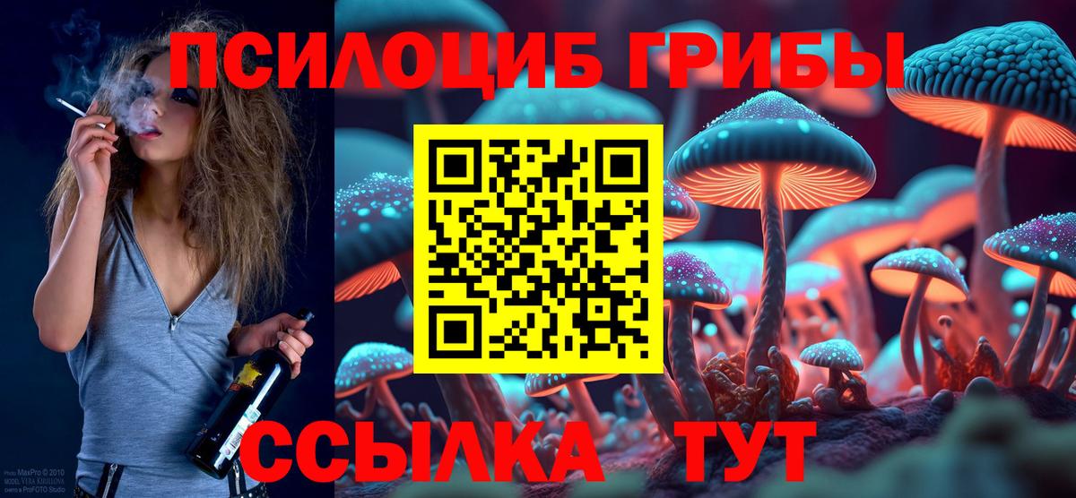 Мытищи  где купить   Вход с VPN  Галлюциногенные грибы GOLDEN TEACHER 